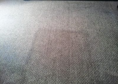 Before and after carpet has been cleaned