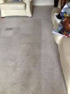 carpet cleaning warrington