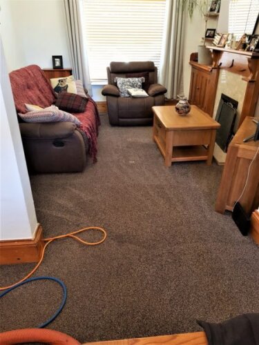 carpet cleaning in cadishead