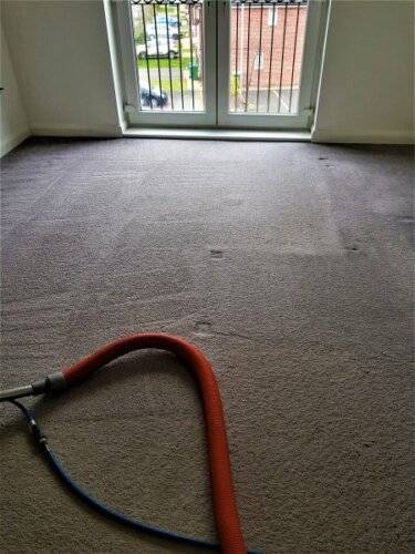 Steam cleaning carpets in Warrington