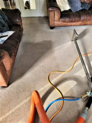 Professional carpet cleaning service in Warrington, Cheshire