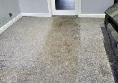 Warrington carpet cleaning services