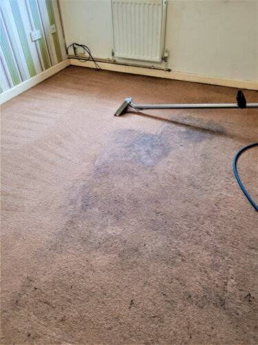 carpet cleaning warrington