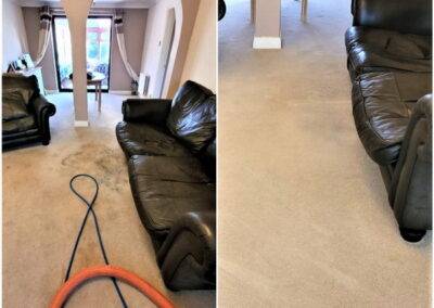 Removing body fluids from a carpet