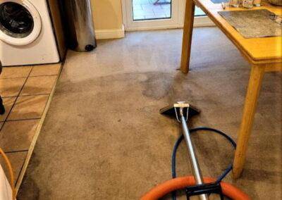 Great Sankey carpet cleaners