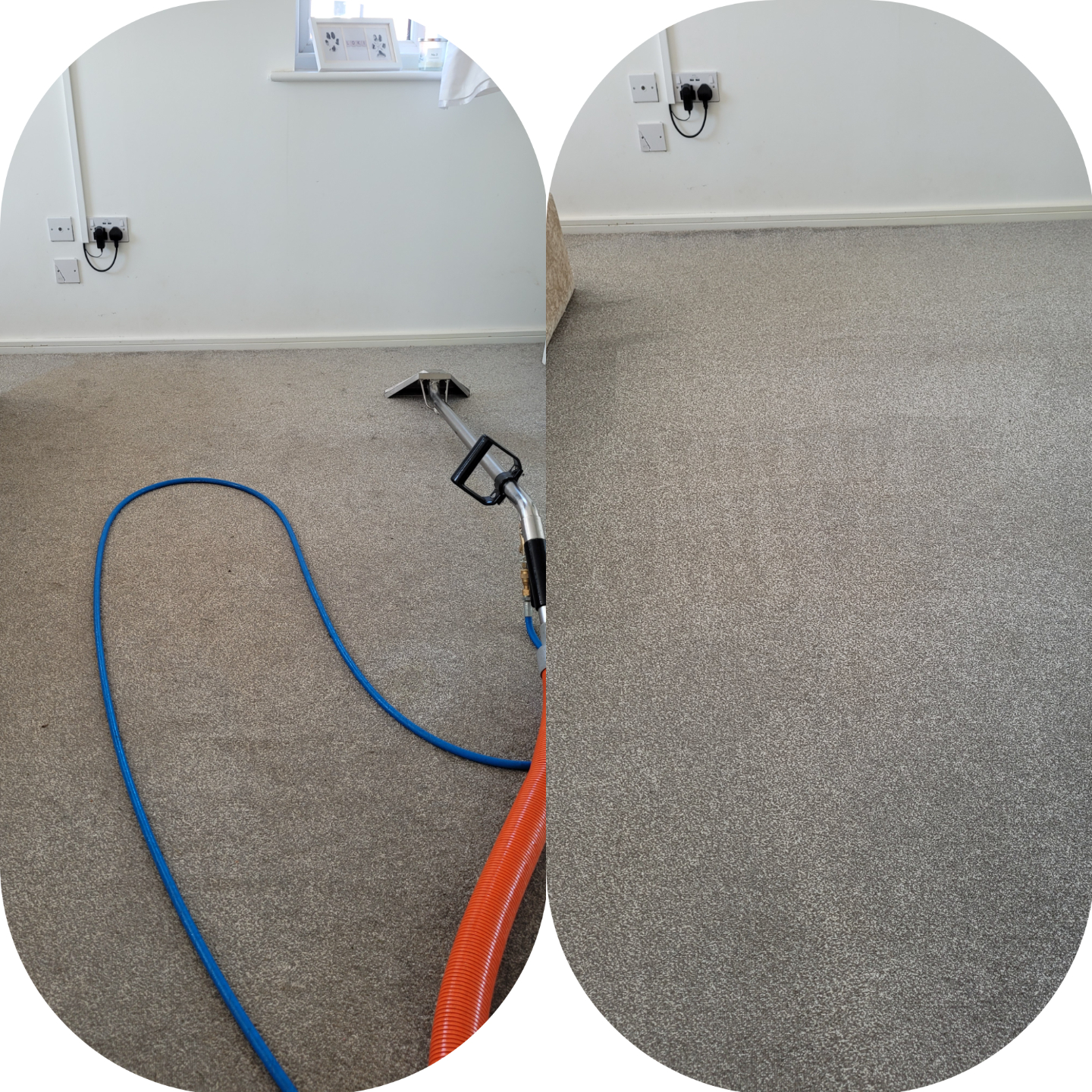 steam cleaning carpets newton le willows