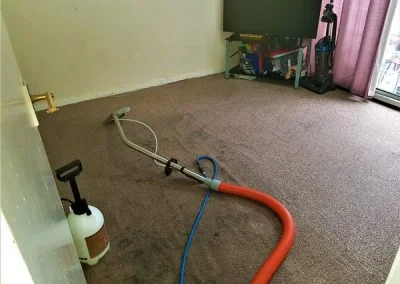 Birchwood carpet cleaners